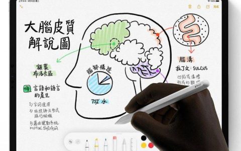 iPad Pro 搭配神队友Smart Keyboard和Apple Pencil 让平板就像笔电一样好用