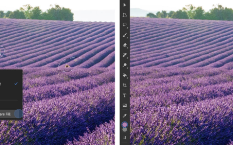 Photoshop iPad 版五個功能使用方式介紹