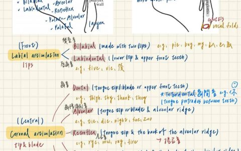 iPad 大学生iPad 一年使用心得