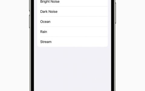 Apple预告将推出iPad眼球追踪、智能表光标、专注上班用的背景音等新功能