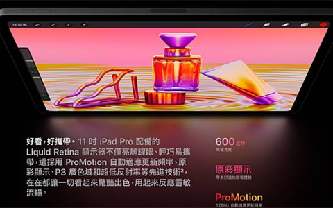 入门款 iPad 传明年将升级 OLED 屏幕，而且包含「小尺寸」版本！