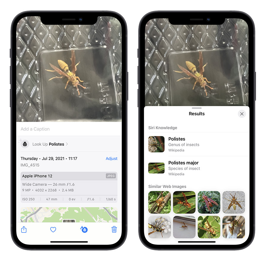 iPhone 图像查询进阶功能怎么用？还可以从料理查食谱、辨识符号 第8张