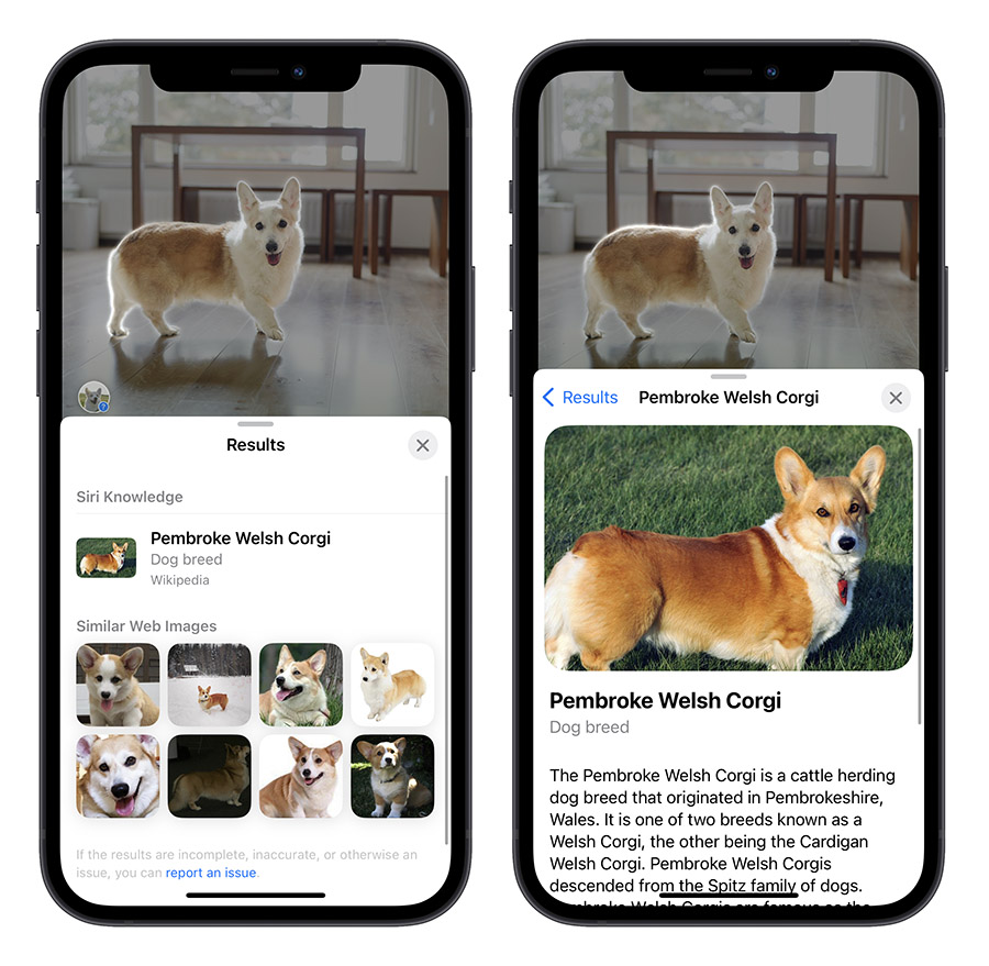 iPhone 图像查询进阶功能怎么用？还可以从料理查食谱、辨识符号 第7张