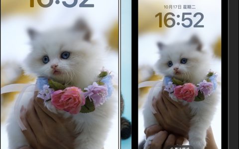 如何解决 iPhone桌面背景模糊问题?图片放大上移