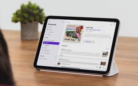 如何在运行 iOS 18 / iPadOS 18 上设定和使用眼球追踪功能?