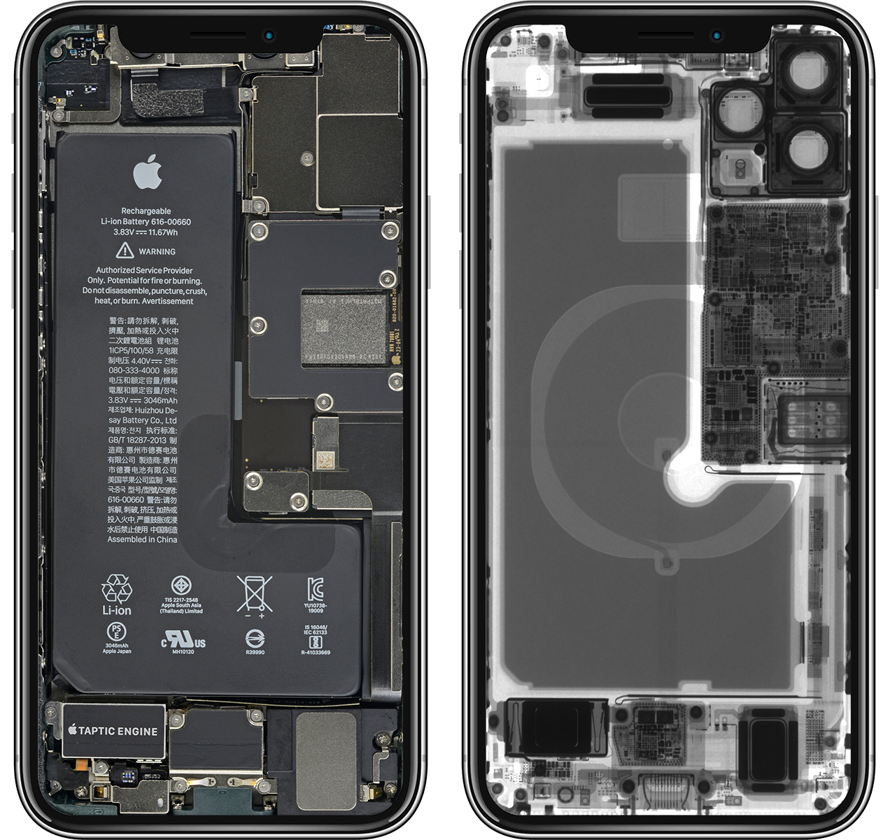iPhone 11 / Pro 系列透明壁纸、X 光壁纸、内部零件壁纸下载 第3张