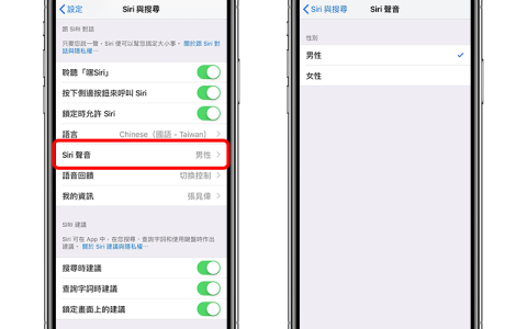 iOS 12 的 Siri 声音更加真实,还多了男生版本