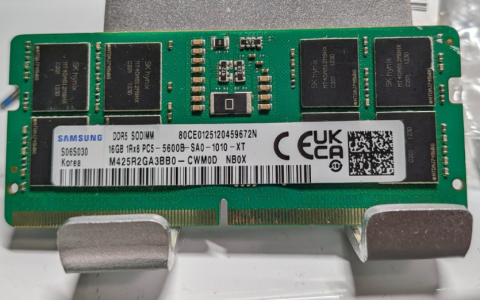网友网购买到高仿DDR5内存 芯片颗粒居然是塑料片